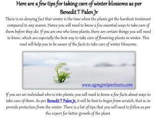 Here are a few tips for taking care of winter blossoms as per Benedit T Palen Jr