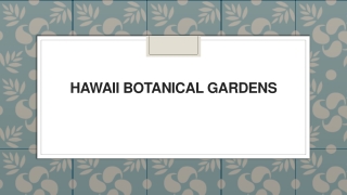 Hawaii Botanical Gardens