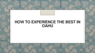 How to Experience the Best in Oahu