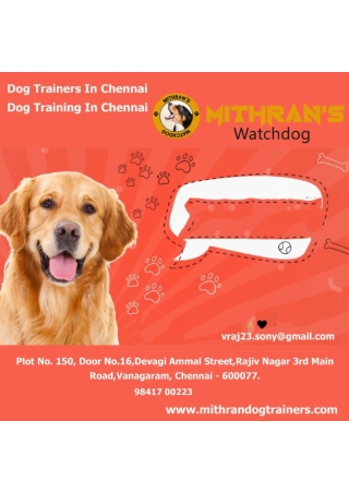 Dog Trainers In Chennai