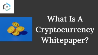 What Is A Cryptocurrency Whitepaper?