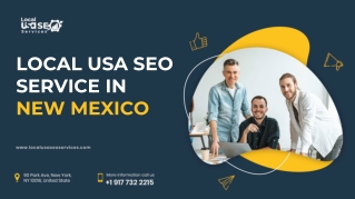 LOCAL USA SEO SERVICE IN NEW MEXICO