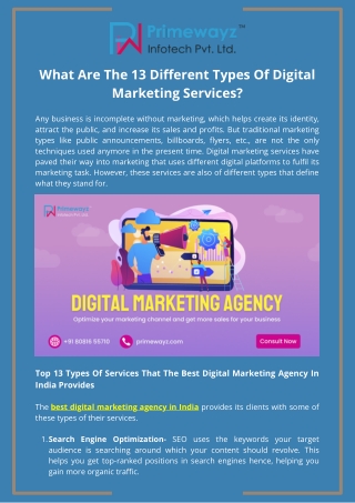 What Are The 13 Different Types Of Digital Marketing Services|Primewayz