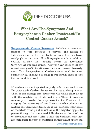 What Are The Symptoms And Botryosphaeria Canker Treatment To Control Canker Attack