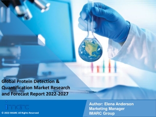 Protein Detection & Quantification Market Research and Forecast Report 2022-2027