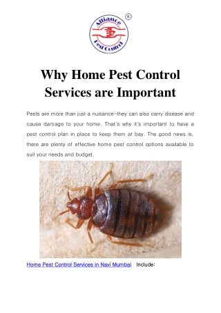 Home Pest Control Services in Navi Mumbai Call-9833024667