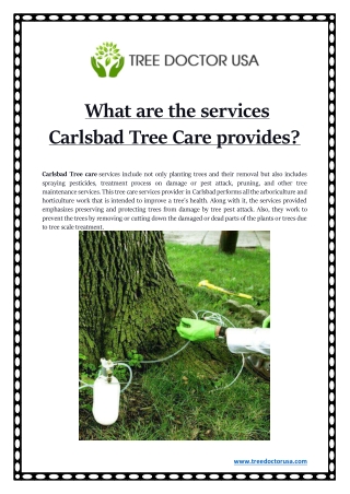 carlsbad tree care provider