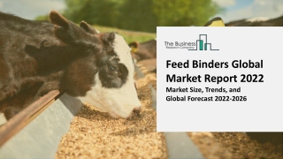 Feed Binders Market