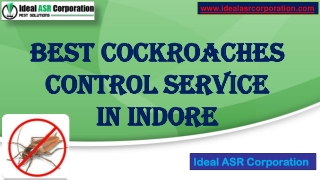 Best Cockroaches Control Service in Indore –Ideal ASR