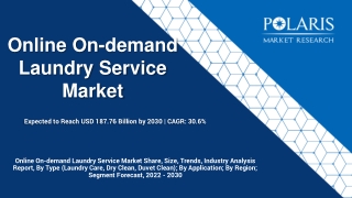 Online On-demand Laundry Service Market