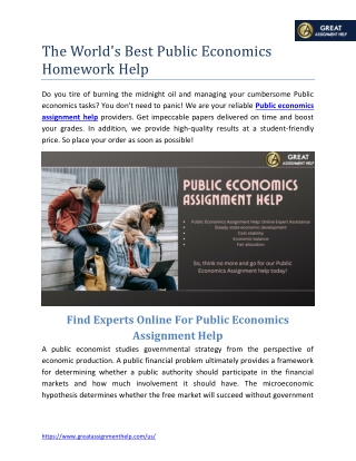 The World's Best Public Economics Homework Help