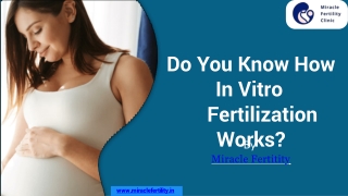 Do You Know How In Vitro Fertilization Works?