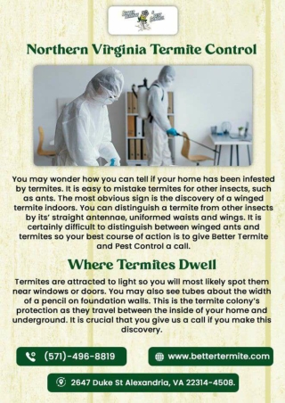 Northern Virginia Termite Control Bettertermite