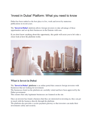 Investor Visa Dubai Service