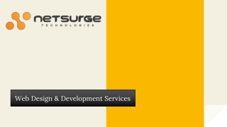 Web Design & Development Services - Netsurge