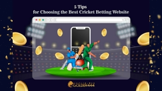 5 Tips for Choosing the Best Cricket Betting Website - Golden444