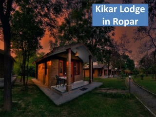 Kikar Lodge in Ropar | India New Year Package 2023