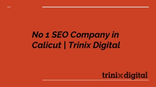 No 1 SEO Company in Calicut | Trinix Digital