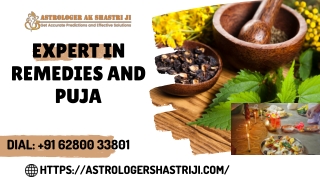 Expert in Remedies and Puja | Call Now |  91 62800-33801