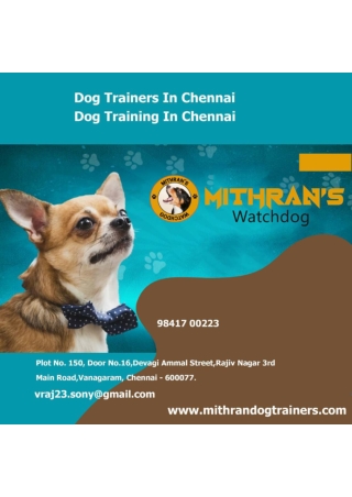 Dog Trainers In Chennai