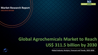 Agrochemicals Market to Reach US$ 311.5 billion by 2030