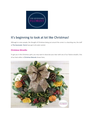 Sevenoaks Florists Christmas Wreath's - Sevenoaks Florist