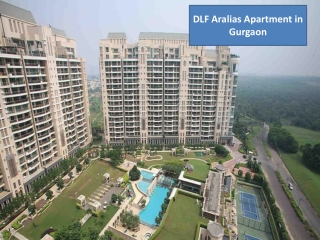 DLF Aralias Apartment on Rent in Gurgaon