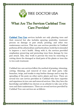 What Are The Services Carlsbad Tree Care Provides?