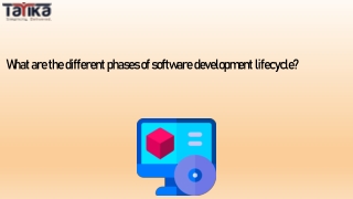 What are the different phases of software development lifecycle