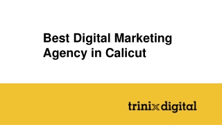 Best Digital Marketing Agency in Calicut
