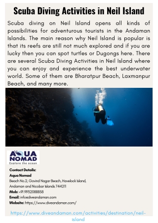 Scuba Diving Activities in Neil Island