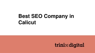 Best SEO Company in Calicut | SEO Specialists