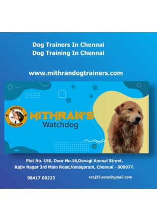 Dog Trainers In Chennai