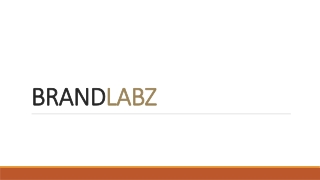 BRANDLABZ