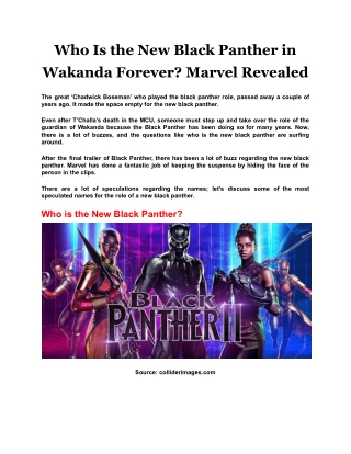 Who Is the New Black Panther in Wakanda Forever? Marvel Revealed