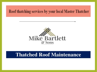 Thatched Roof Maintenance