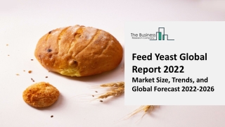 Feed Yeast Market Report 2022 | Insights, Analysis, And Forecast 2031