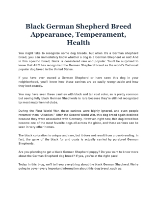 Black German Shepherd Breed Appearance, Temperament, Health
