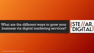 What are the different ways to grow your business via digital marketing services