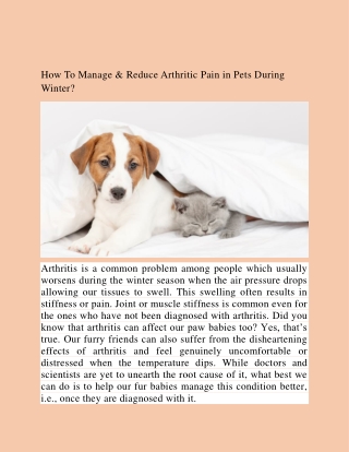 How To Manage & Reduce Arthritic Pain in Pets During Winter