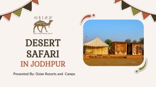 An Amazing Desert Safari in Jodhpur