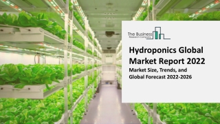 Hydroponics Market