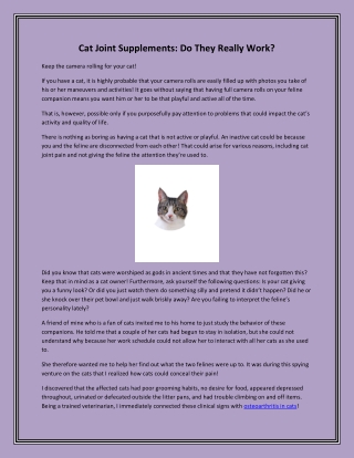 Cat Joint Supplements