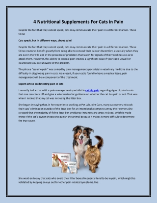 4 Nutritional Supplements For Cats in Pain