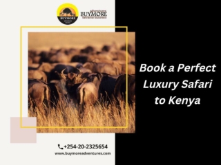 Book a Perfect Luxury Safari to Kenya