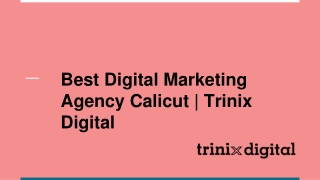 Best Digital Marketing Agency Calicut | Trinix Digital