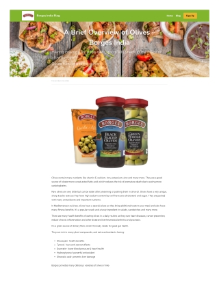 A Brief Overview of Olives – Borges India 