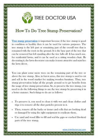 How To Do Tree Stump Preservation