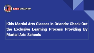 Kids Martial Arts Classes in Orlando: Check Out the Exclusive Learning Process