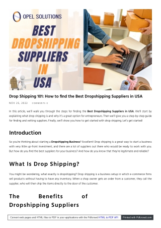 The most effective way to evaluate Dropshipping Suppliers | Opelsolutions